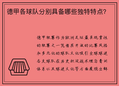 德甲各球队分别具备哪些独特特点？